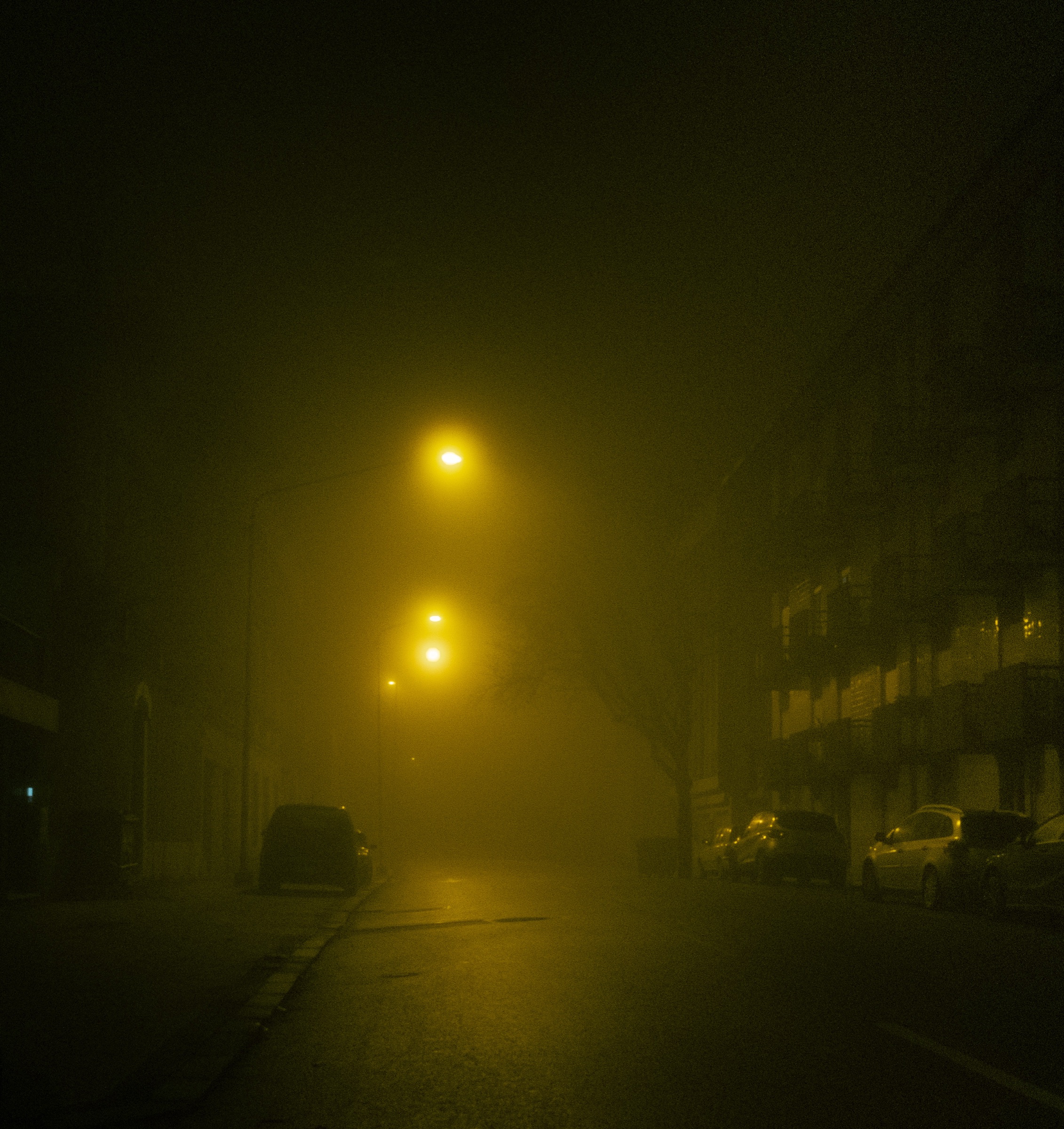 Candeeiros a brilhar na neblina, Coimbra